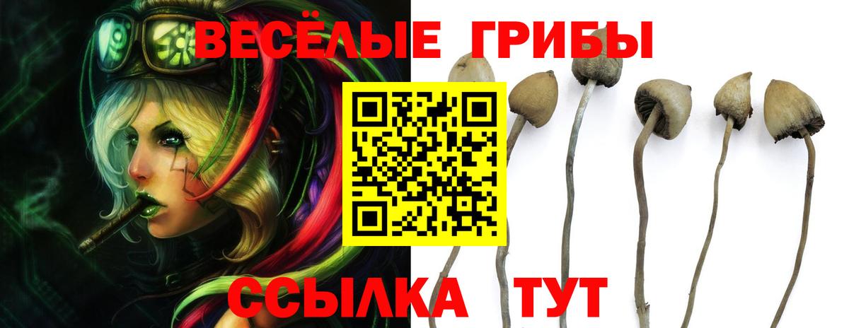 Галлюциногенные грибы Cubensis  Вход с VPN  Галлюциногенные грибы GOLDEN TEACHER  Ижевск 